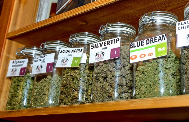 Several Area Towns will Soon have Medical Marijuana Dispensaries