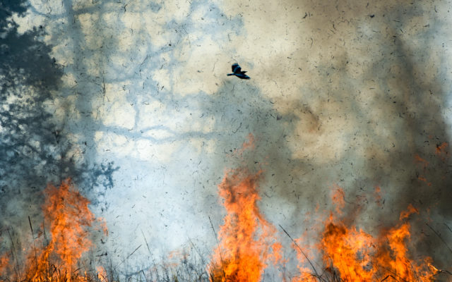 Wildfire Danger Diminishing across the Region