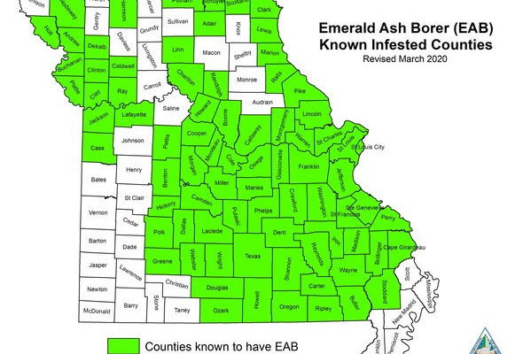 All Counties in Listening Area now have Emerald Ash Borer
