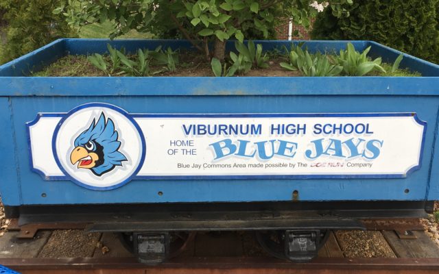 Viburnum Graduation Plans
