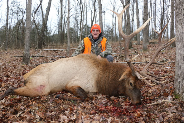 Success for All Hunters in Missouri’s First-Ever Firearms Elk Hunt
