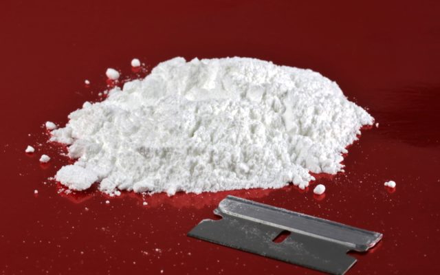 Richwoods Man Arrested in Washington County on Cocaine Charge