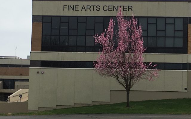 New Mineral Area Fine Arts Academy