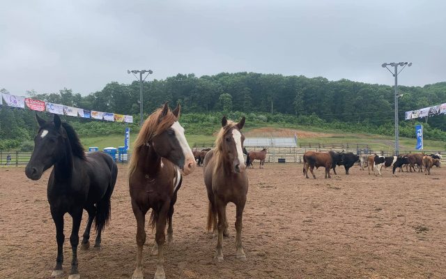 St. Francois County Rodeo Continues