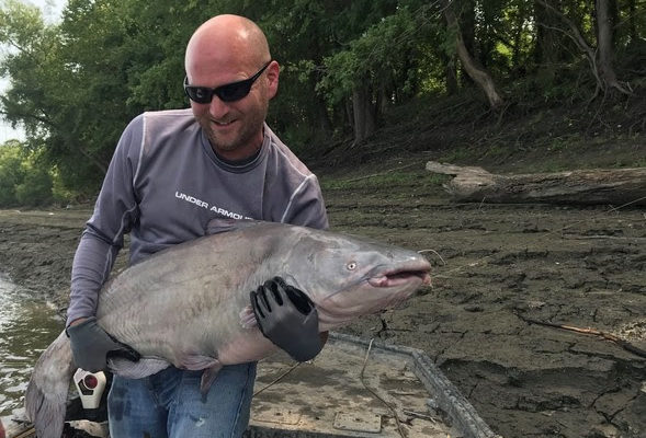 Conservation Department could Change Catfishing Regulations on Missouri’s Big Rivers