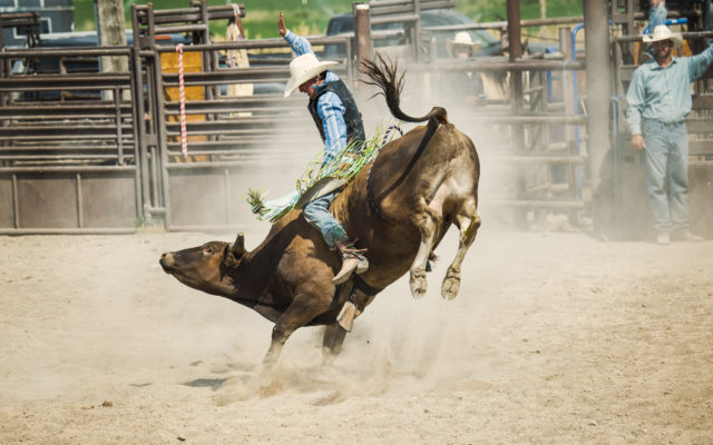 Arcadia Valley Rodeo This Weekend