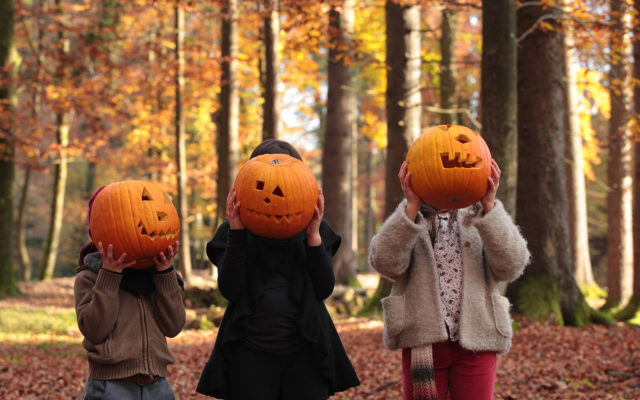 Desloge Library to Host Trunk or Treat at City Park