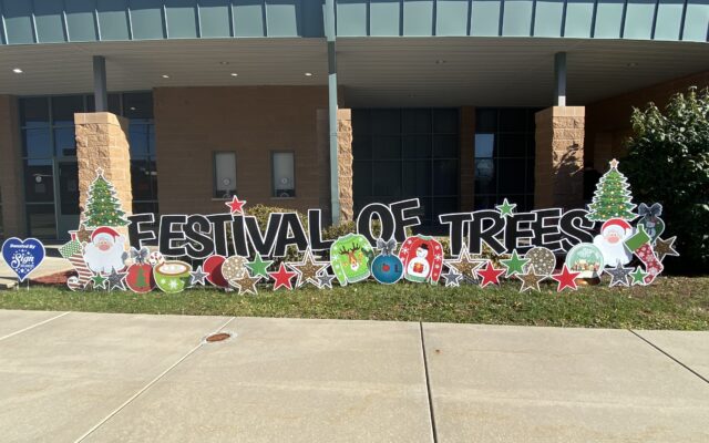 Festival Of Trees A Huge Success