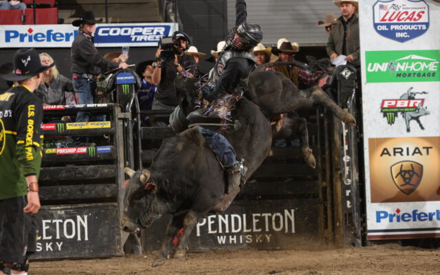 Steelville Cowboy is Top Rookie Bull Rider in the P.B.R….He Begins Quest for World Finals Title Friday