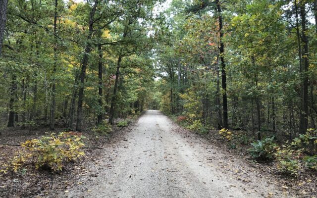 Several Roads getting Work on Mark Twain National Forest Land