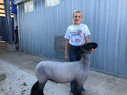 Dent County Girl Shines at Missouri State Fair