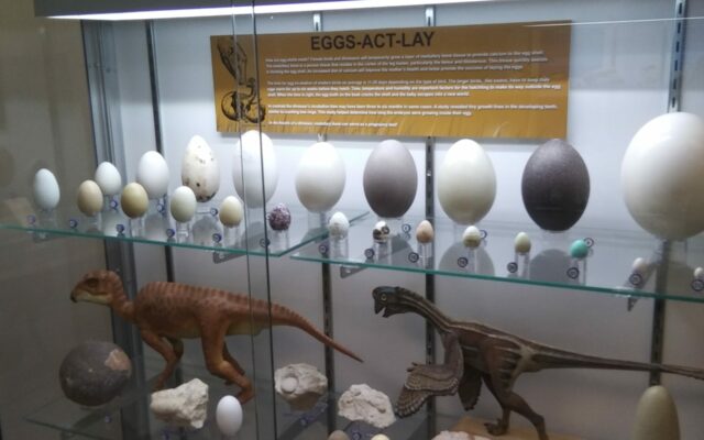 Proclamations For Ste. Genevieve Museum Learning Center & Man Who Discovered Missouri Dinosaur