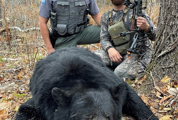 2 Out Of 3 Black Bear Hunting Zones Shutout in Missouri’s Second-Ever Hunting Season