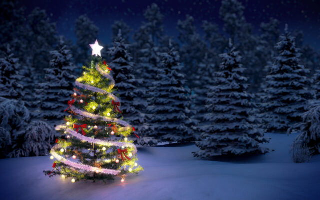 COMTREA "Tree-Mendous" Christmas Fest is this Friday & Saturday