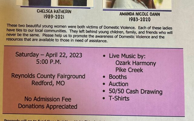 Domestic Violence Awareness Benefit In Redford