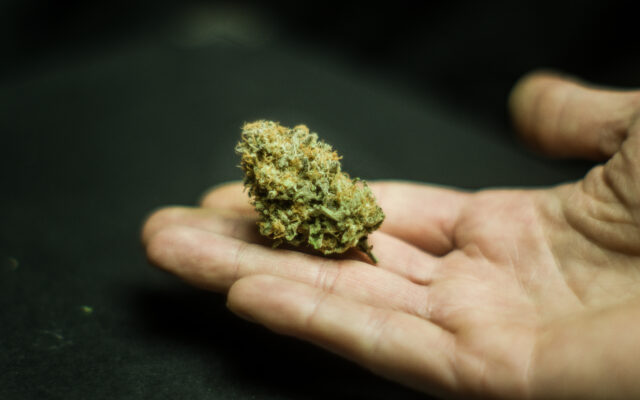 Plans Underway For Missouri Marijuana Microbusinesses