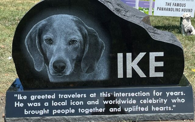 A Fitting Tribute for Ike the Panhandling Hound