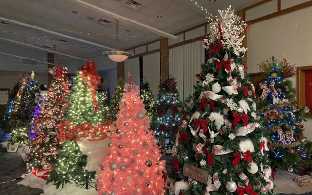 CASA Of the Parkland Holds Festival of Trees