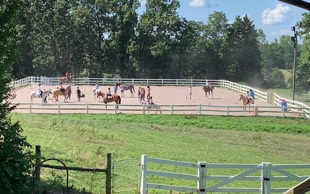 Black Knight Stables Horse Camp